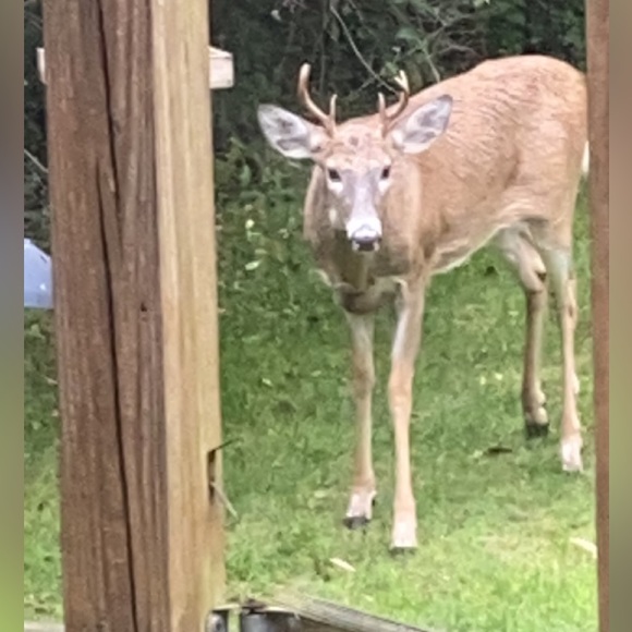 Meet your Posher, Paty - Picture 12 of 16